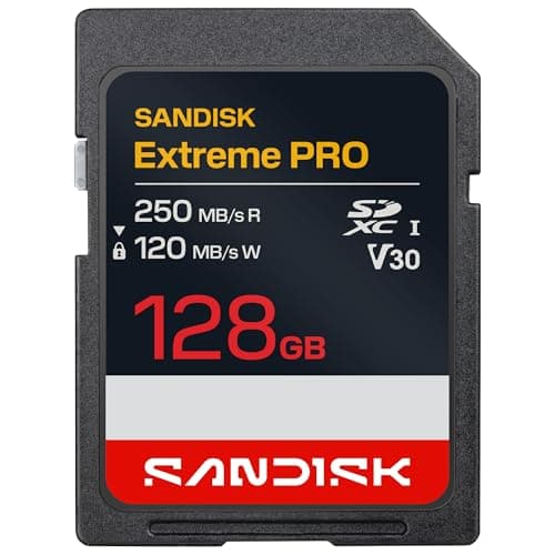 SanDisk Extreme PRO SDXC UHS-I (128GB)