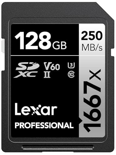 Lexar Professional 1667x SDXC UHS-II (128GB)